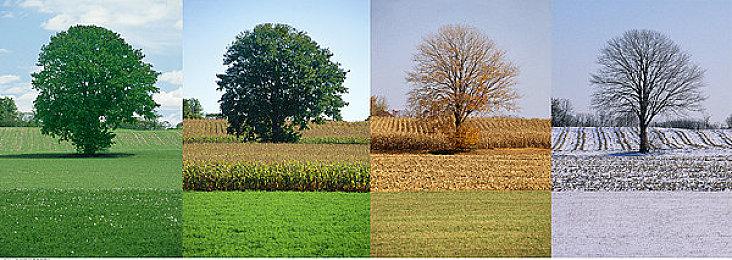 解谜平台跳跃游戏《永恒的希望》正式登陆主机平台