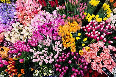 《马里奥赛车8：豪华版》赛道通行证第一弹介绍视频 DLC现已上线