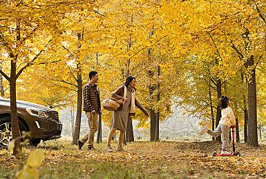 《迷雾魔域：迷雾与活地下城》10月27日steam正式推出